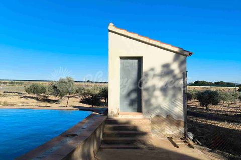 Landejendom i Yecla, Murcia, Yecla - € 185.000 | Ref: SF0522 - foto 18